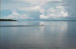 Rio Negro, a few miles from its meeting with Rio Solimoes giving rise to the Amazon