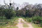 Fauna on private road leading up to the third farmhouse