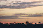 Sunrise in the Pantanal