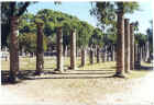 Site of ancient gymnasium