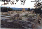 Ruins surrounded by Olive groves