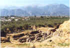 Chimney smoke of modern Spartan homes in the background