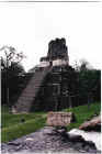 tikal-pyramid2.jpg (172784 bytes)