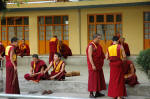 Debating monks in McLeod Ganj, residence of the Dalai Lama and seat of the Tibetan government in exile.
