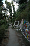 Path that circumambulates the Tsuglagkhang complex
