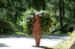 A woman in Khajjiar, Himachal Pradesh