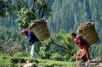 Two women in Khajjiar, Himachal Pradesh