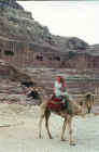 The ancient theatre of Petra, a powerful trading city in early first millennium CE and which controlled much of the southern middle-east