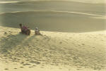 Thar Desert in Rajasthan