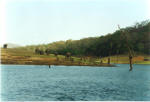 This picture was taken in 1996, all others on this page in Jan 2006