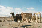 Temple of Bel-Shamin in the background