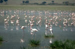 Ngorongoro Conservation Area