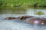 Ngorongoro Conservation Area