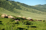 This is right outside the crater on the way to the Serengeti NP