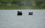 Selous Game Reserve