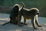 Serengeti National Park