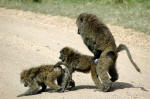 Serengeti National Park