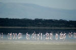 Serengeti NP