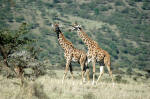 Serengeti National Park