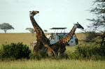 Serengeti National Park