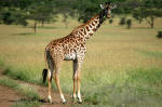 Serengeti National Park