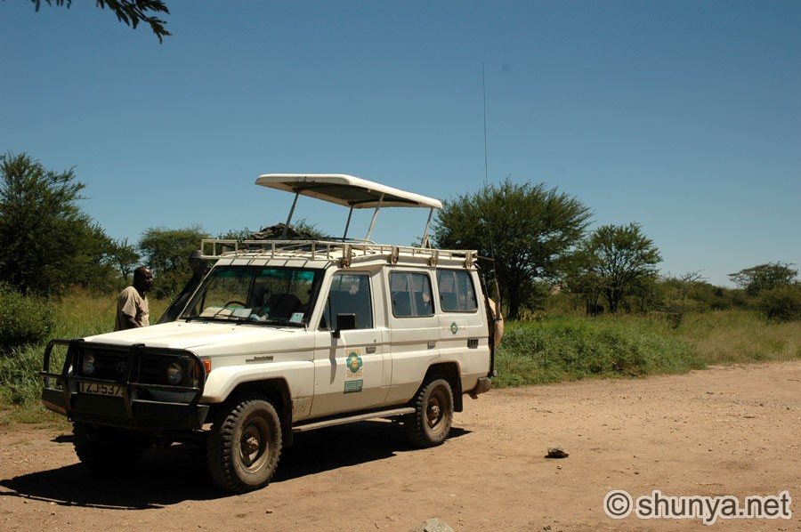 Cheetah pooping jeep #3