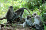 Serengeti National Park