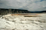 Travertines near Mammoth Hot Springs