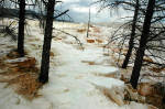 Travertines near Mammoth Hot Springs