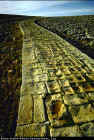 Paved roads were in use in the ancient Near East around 1200 BC.