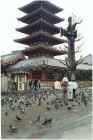 Asakusa-pagoda.jpg (227543 bytes)