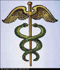 Asclepius, a legendary physician, was the God of healing and disease in Classical Greece. His staff entwined with the holy snakes became the symbol of the medical profession. 